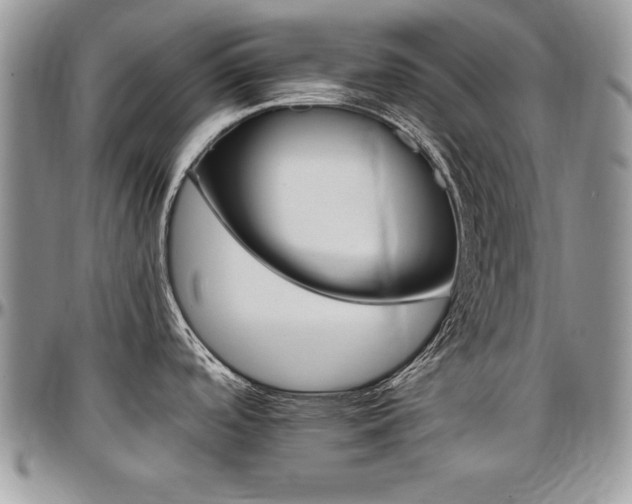 X0000097301488200802151427
