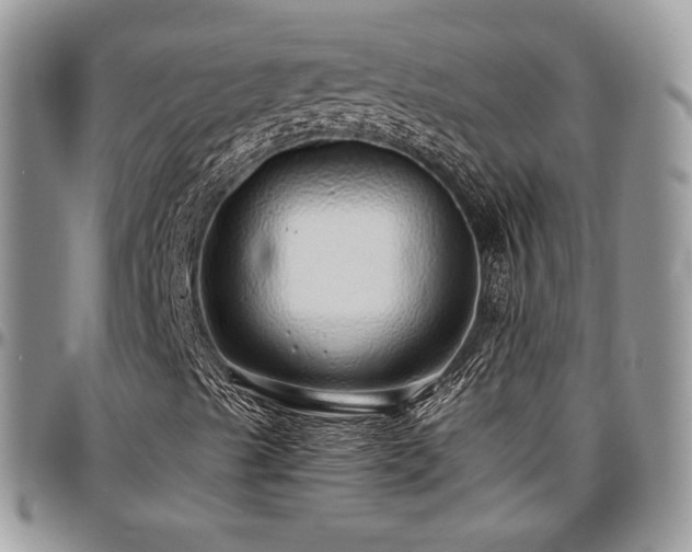 X0000097301489200802151426