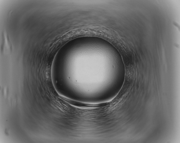 X0000097301490200802151426