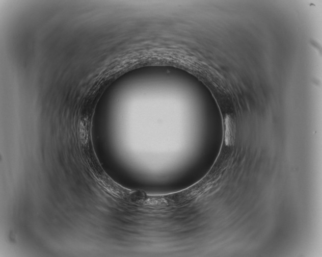X0000097301491200802151426