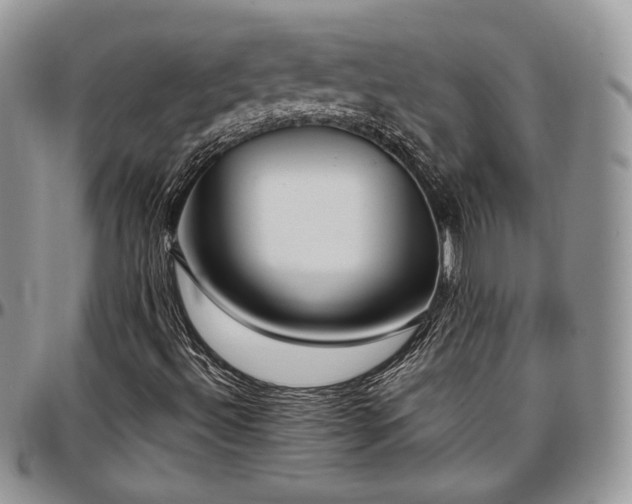 X0000097301492200802151426