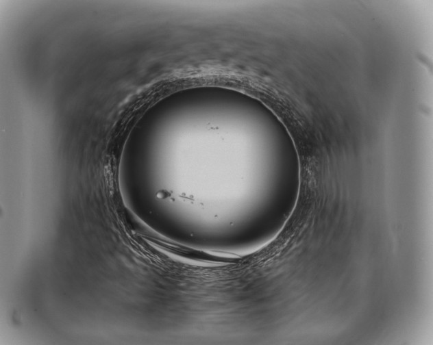 X0000097301493200802151426