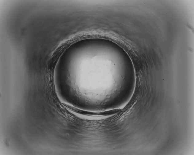 X0000097301494200802151426