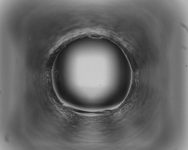 X0000097301496200802151426
