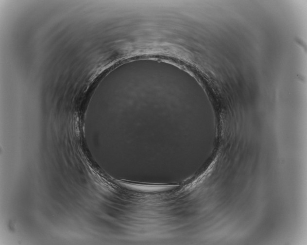 X0000097301497200802151426