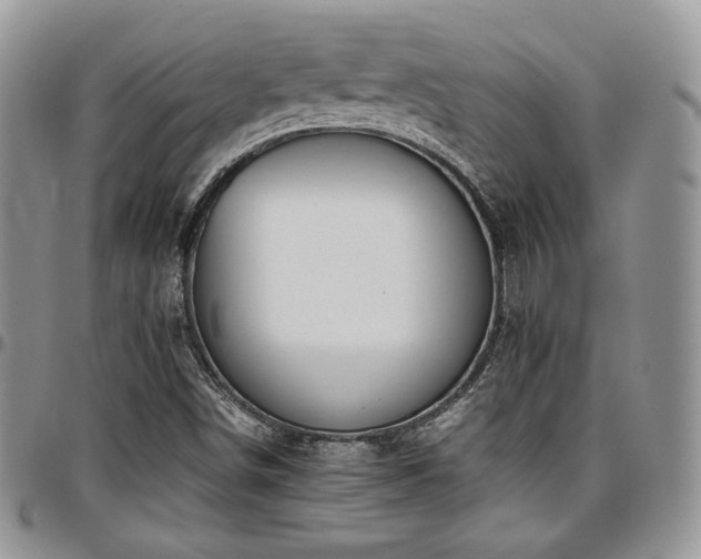 X0000097301498200802151426