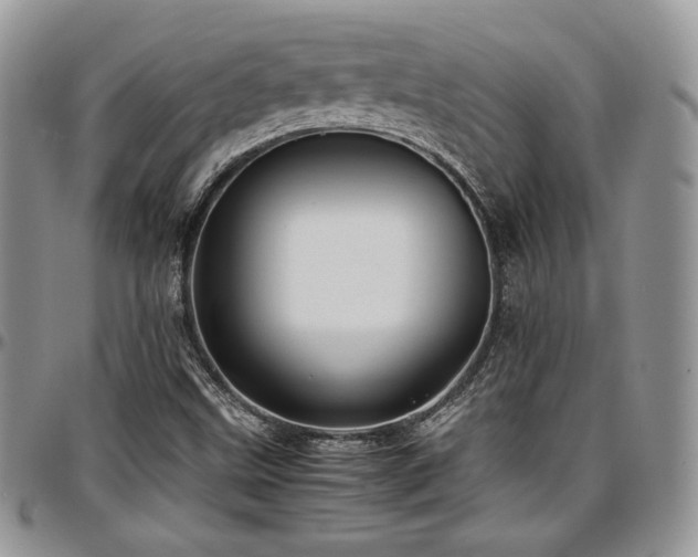 X0000097301499200802151426