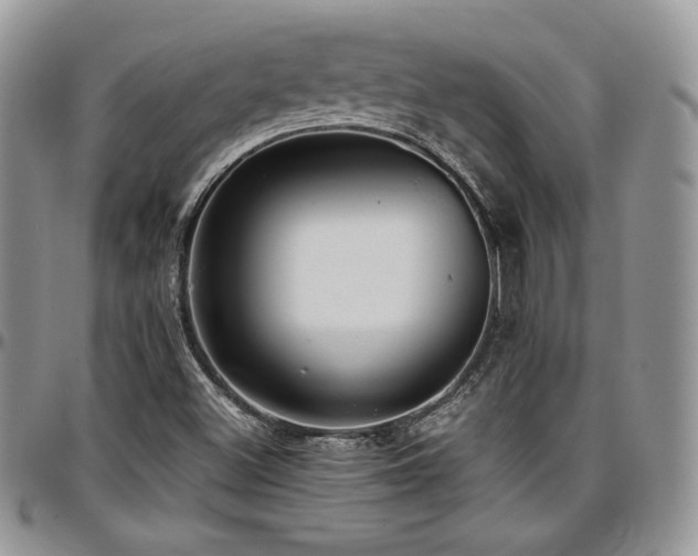 X0000097301500200802151426