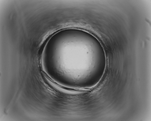 X0000097301501200802151426