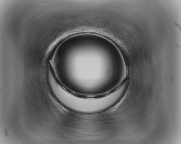 X0000097301502200802151426