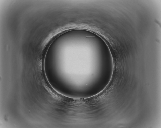 X0000097301503200802151426