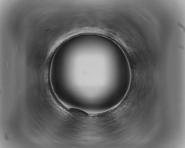 X0000097301504200802151426