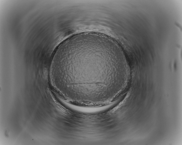 X0000097301505200802151426