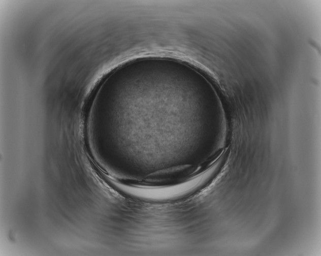 X0000097301506200802151426