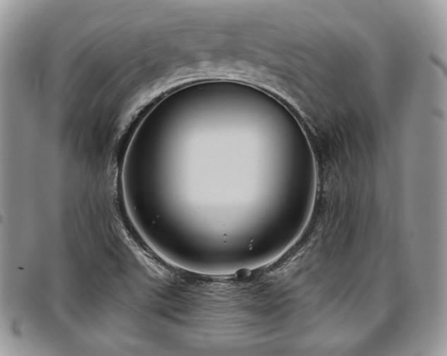 X0000097301507200802151426