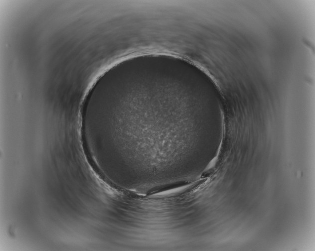 X0000097301508200802151426