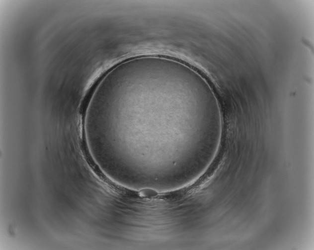 X0000097301509200802151426
