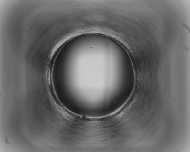 X0000097301510200802151426