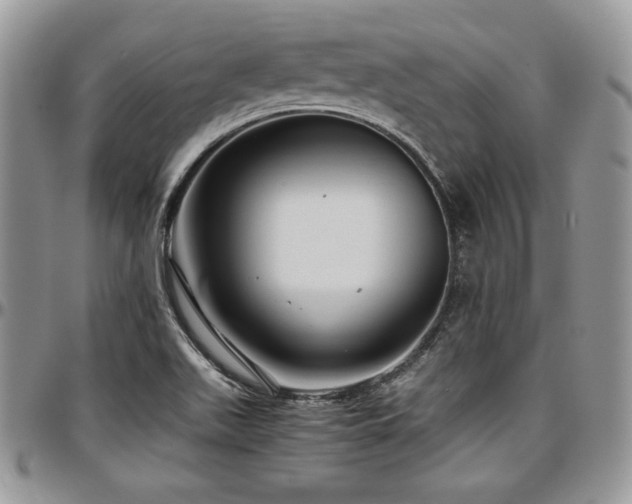 X0000097301511200802151427