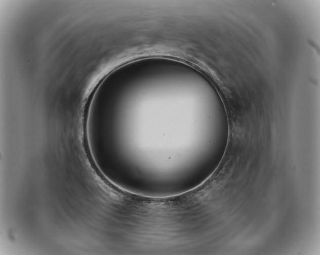 X0000097301512200802151427
