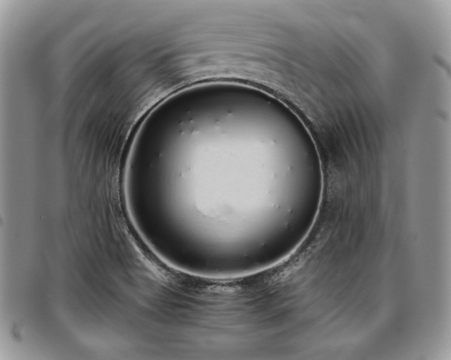 X0000097301513200802151427