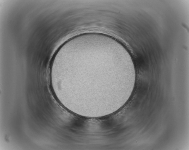 X0000097301514200802151427