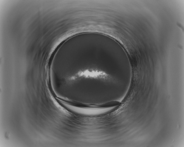 X0000097301515200802151427