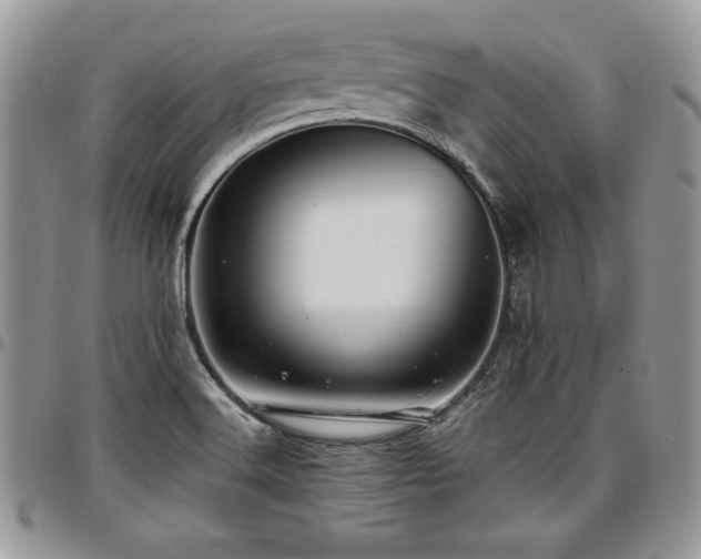 X0000097301516200802151427