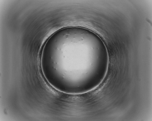 X0000097301517200802151427