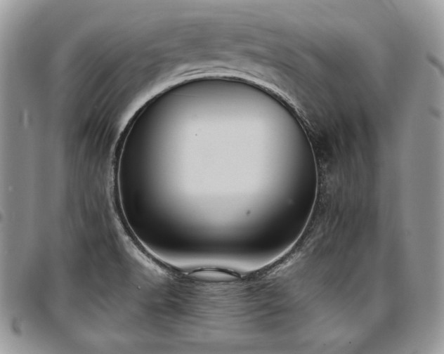 X0000097301518200802151427