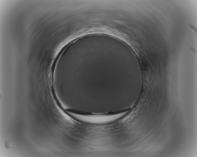 X0000097301519200802151427