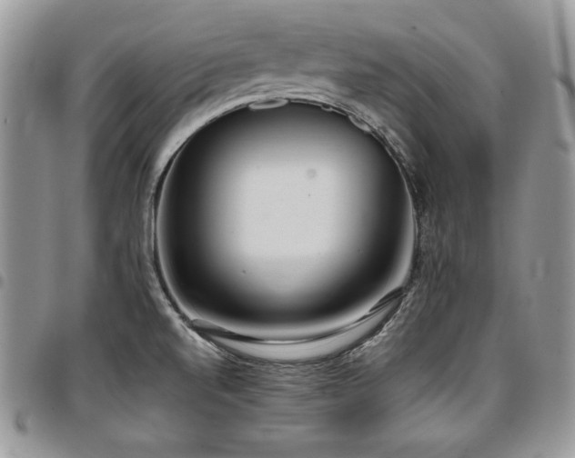 X0000097301520200802151427