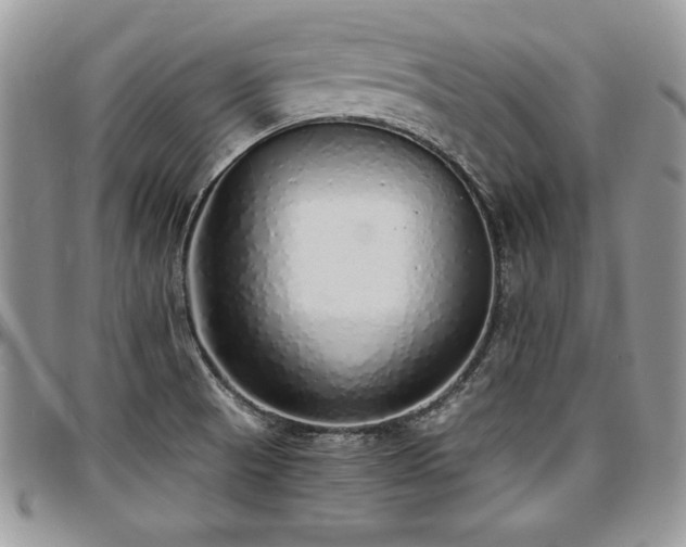 X0000097301521200802151427