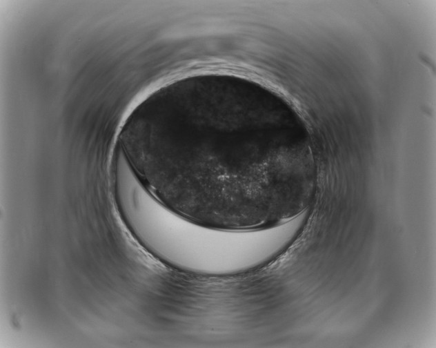 X0000097301522200802151427