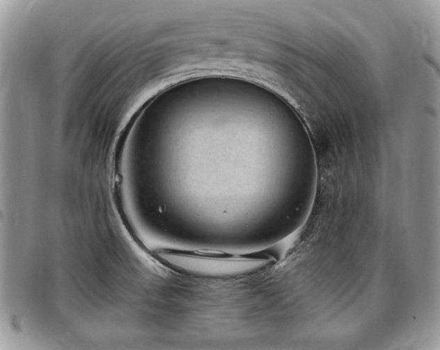 X0000097301523200802151427