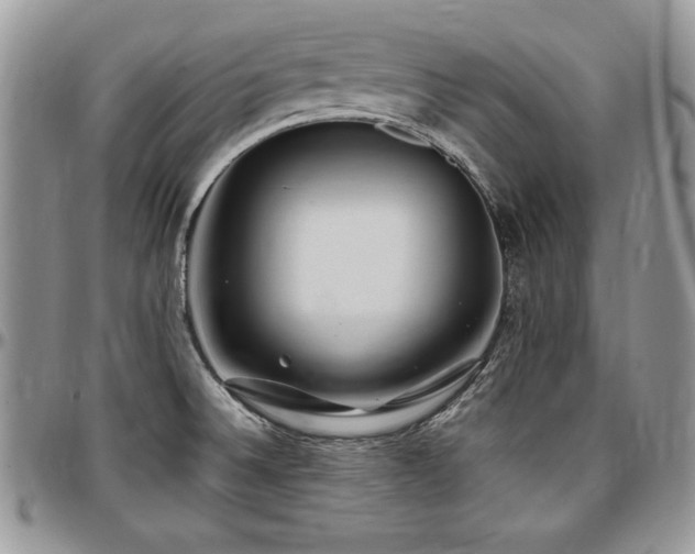 X0000097301524200802151427