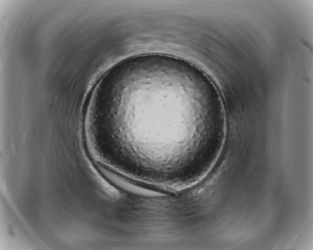 X0000097301525200802151427