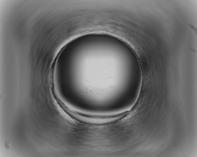 X0000097301526200802151427