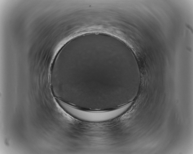 X0000097301527200802151427