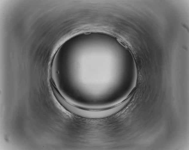 X0000097301528200802151427