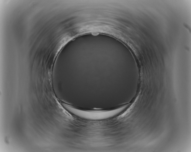 X0000097301529200802151427