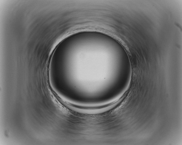 X0000097301530200802151427