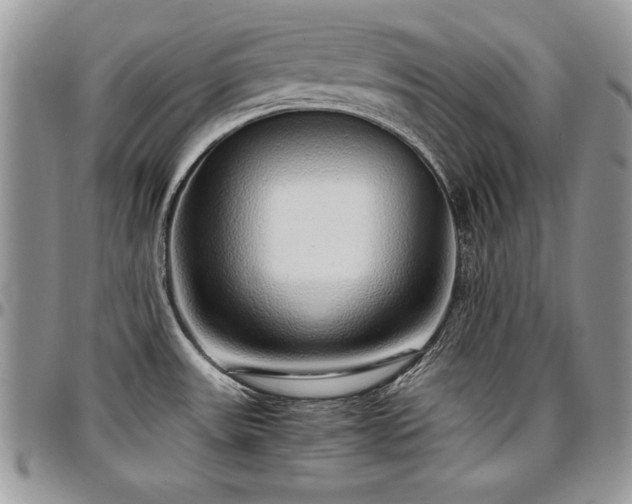 X0000097301531200802151427
