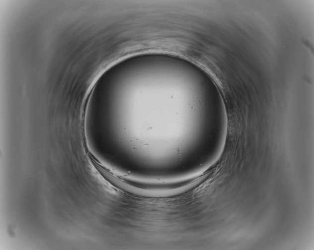 X0000097301532200802151427