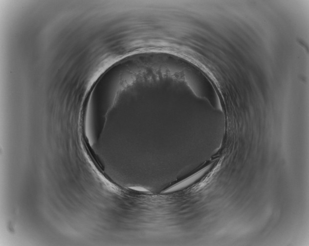 X0000097301533200802151427