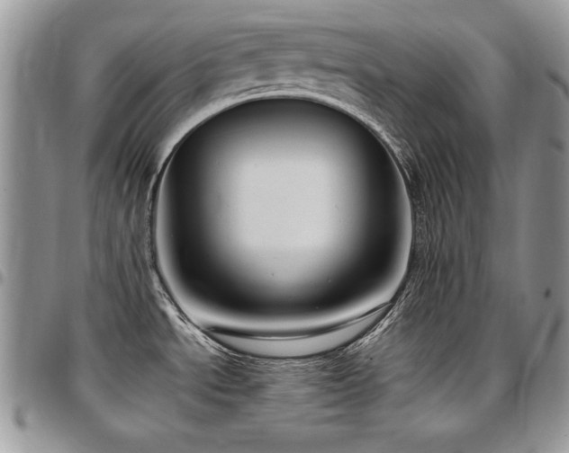 X0000097301534200802151427