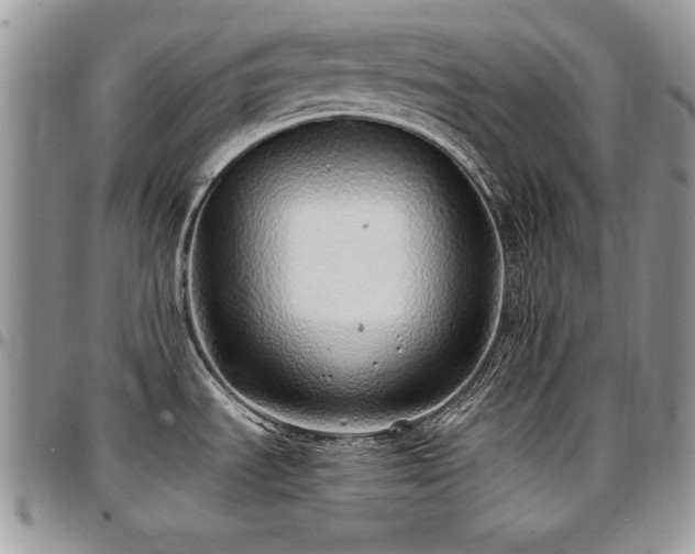 X0000097301535200802151427