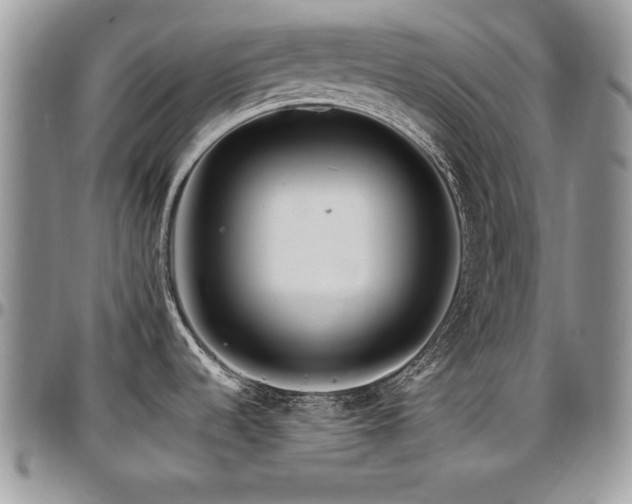 X0000097301536200802151427