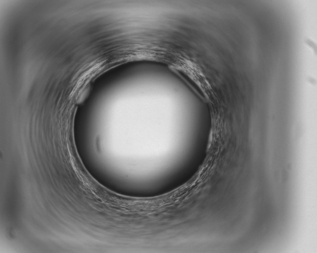 X0000097300001200802221346