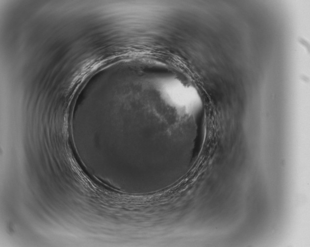 X0000097300002200802221346